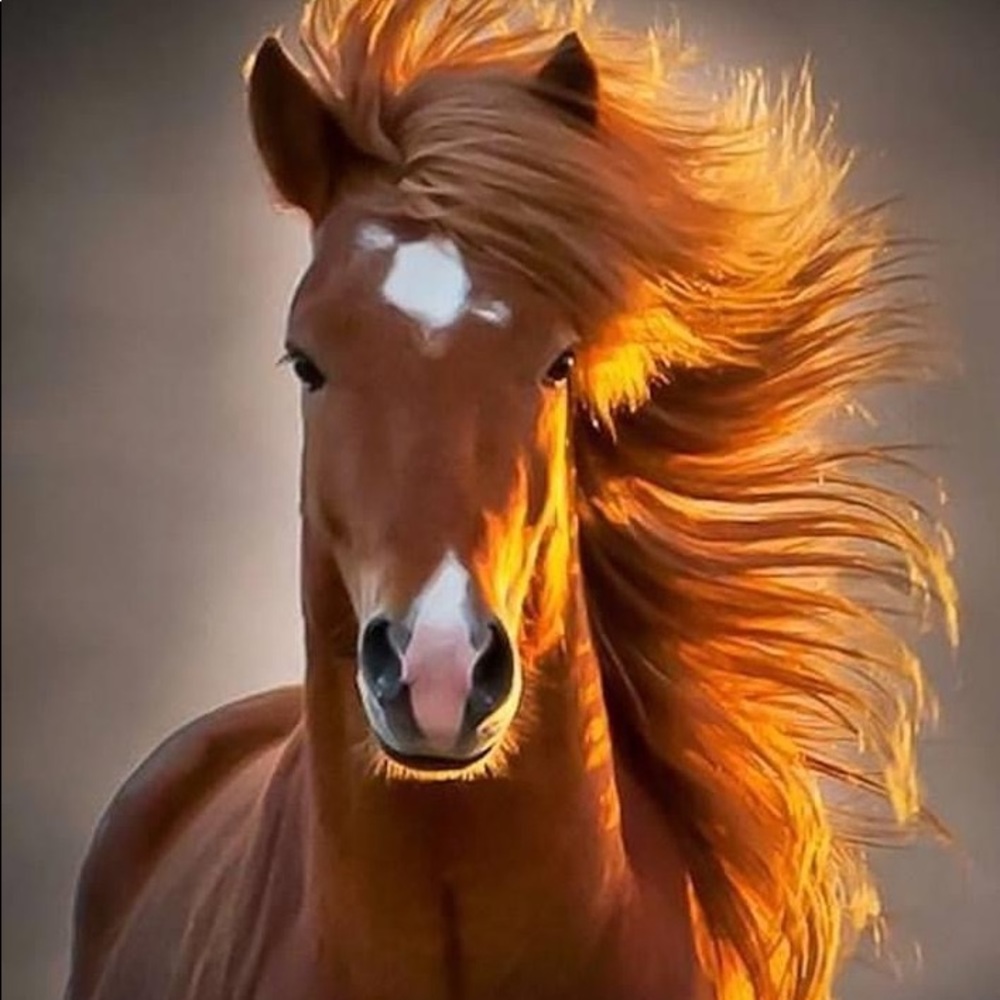 Meet your Posher, Juliana